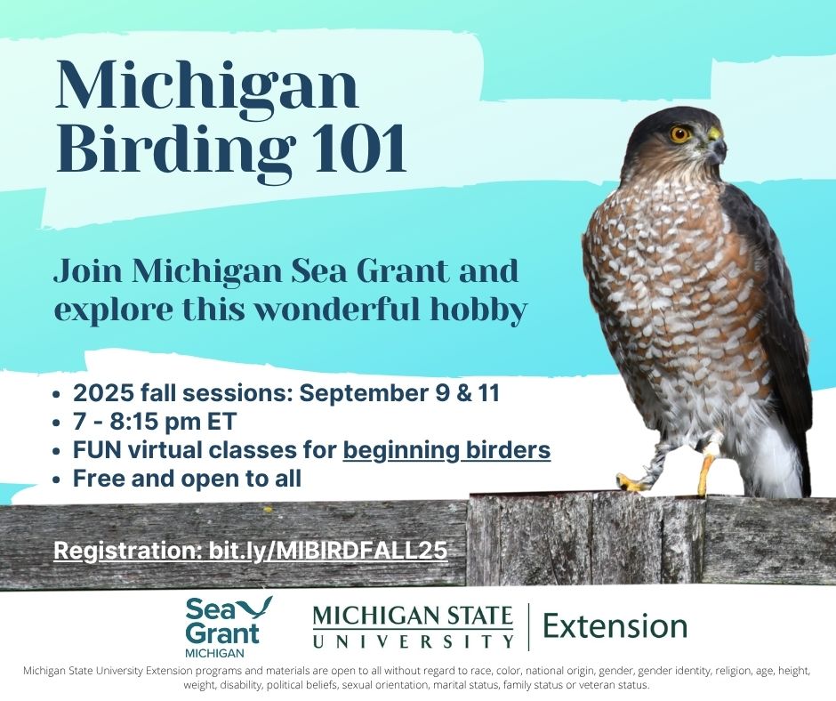 Michigan Birding 101 Fall 2025.jpg